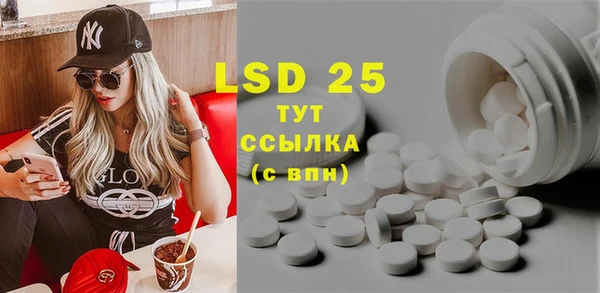 ПСИЛОЦИБИНОВЫЕ ГРИБЫ Елабуга