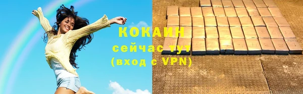 mdpv Ельня