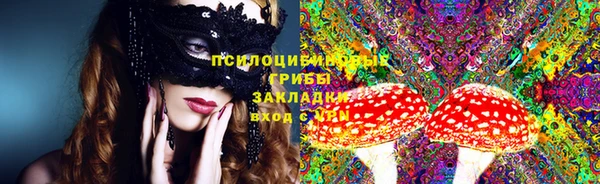 ПСИЛОЦИБИНОВЫЕ ГРИБЫ Елабуга