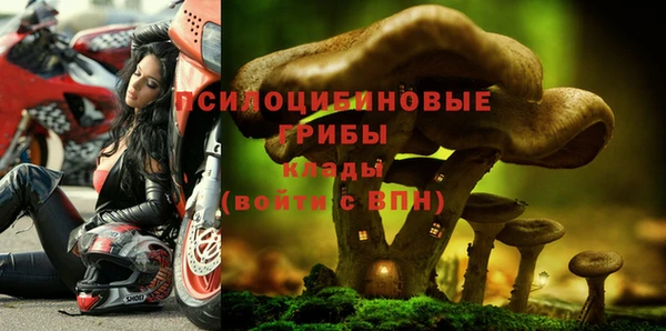 mdpv Ельня