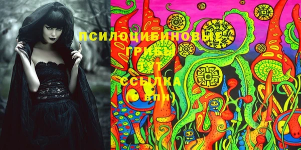 ПСИЛОЦИБИНОВЫЕ ГРИБЫ Елабуга
