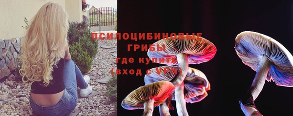 амфетамин Елизово