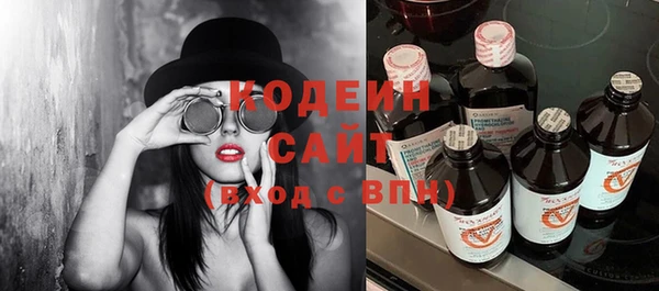 прущие грибы Переславль-Залесский