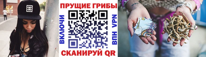 Галлюциногенные грибы Psilocybe даркнет сайт Пустошка